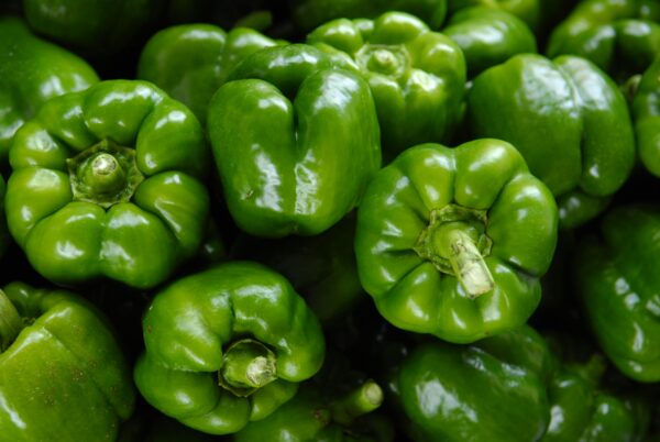 Green capsicum