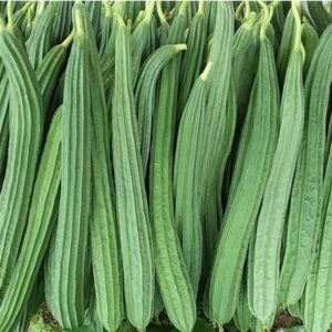 Fresh Ridge Gourd (Beerakaya) – Farm Fresh Vegetables Online