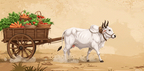 Village Grocery Cart